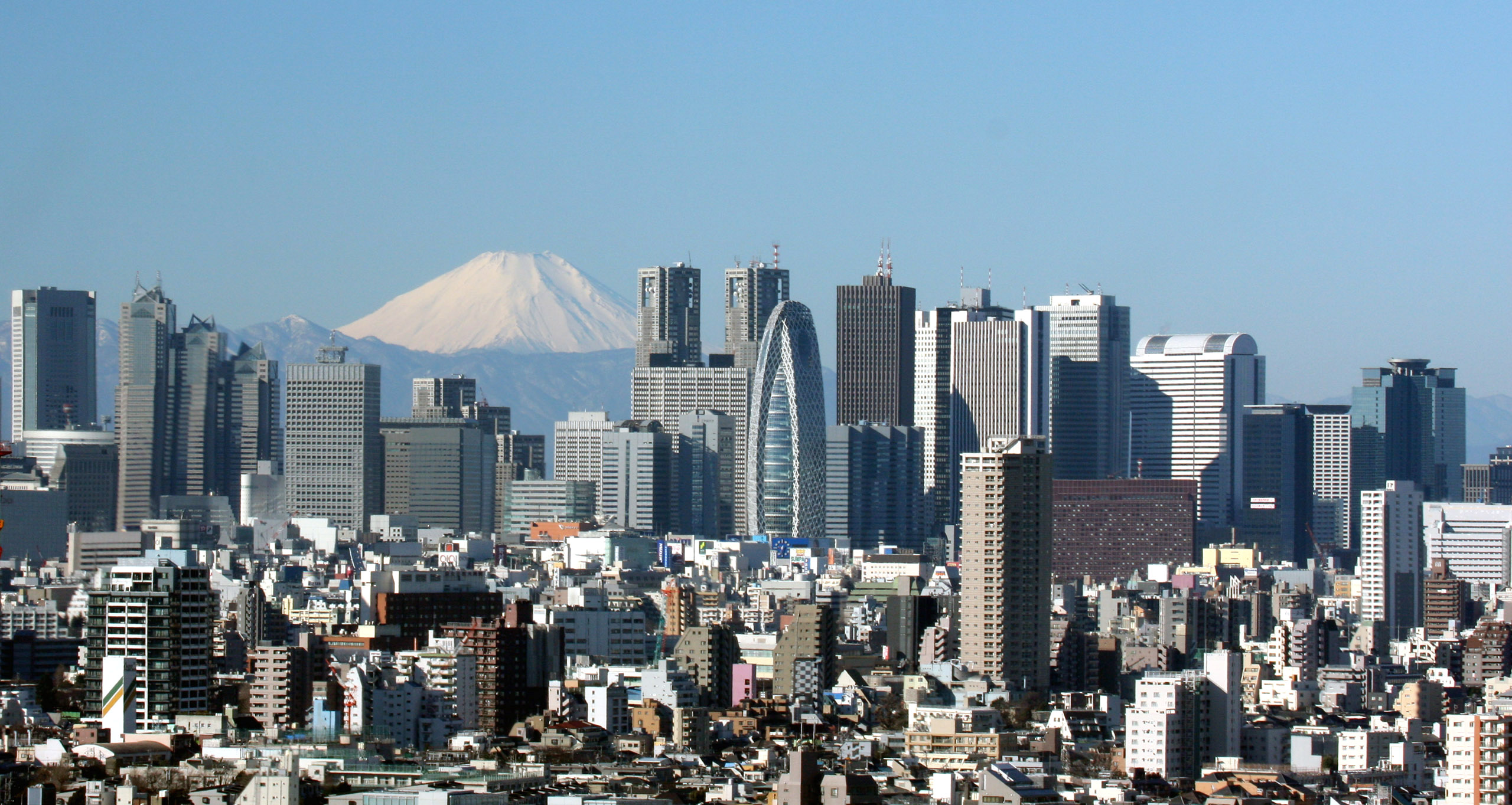 A view of Tokyo, Skyscrapers of Shinjuku